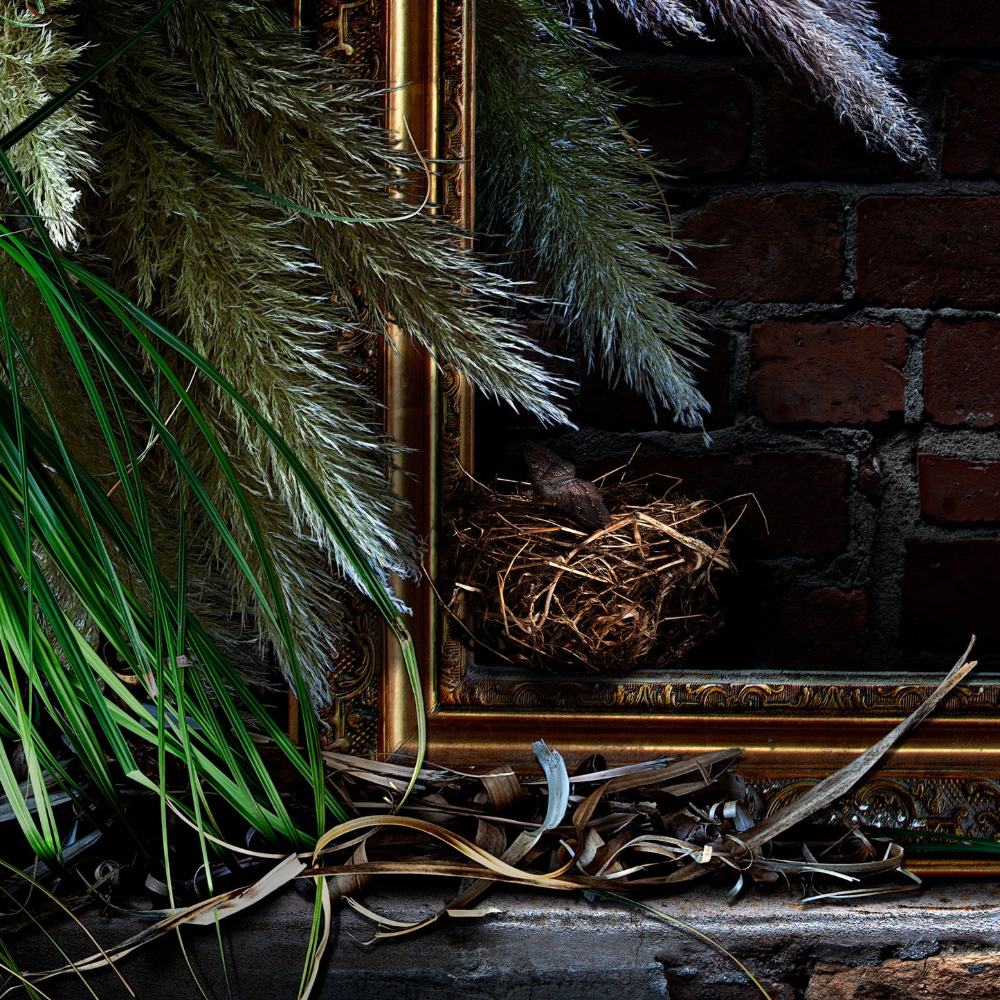 Bird's Nest on Fort Lane Limited Edition