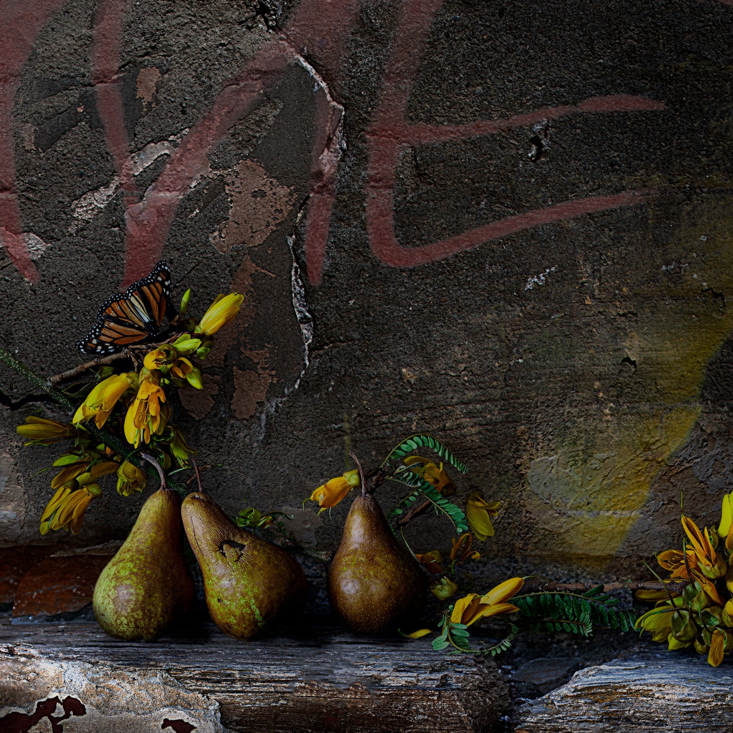 Kowhai and Lemons