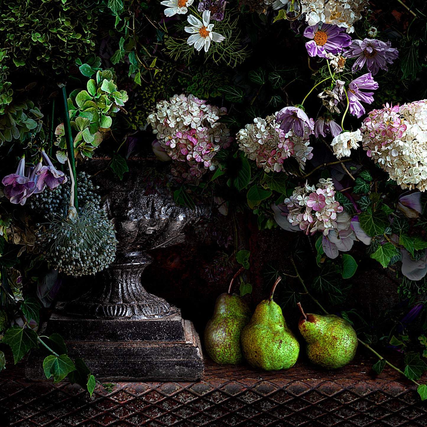 Pears and Magnolias Exclusive Limited Edition