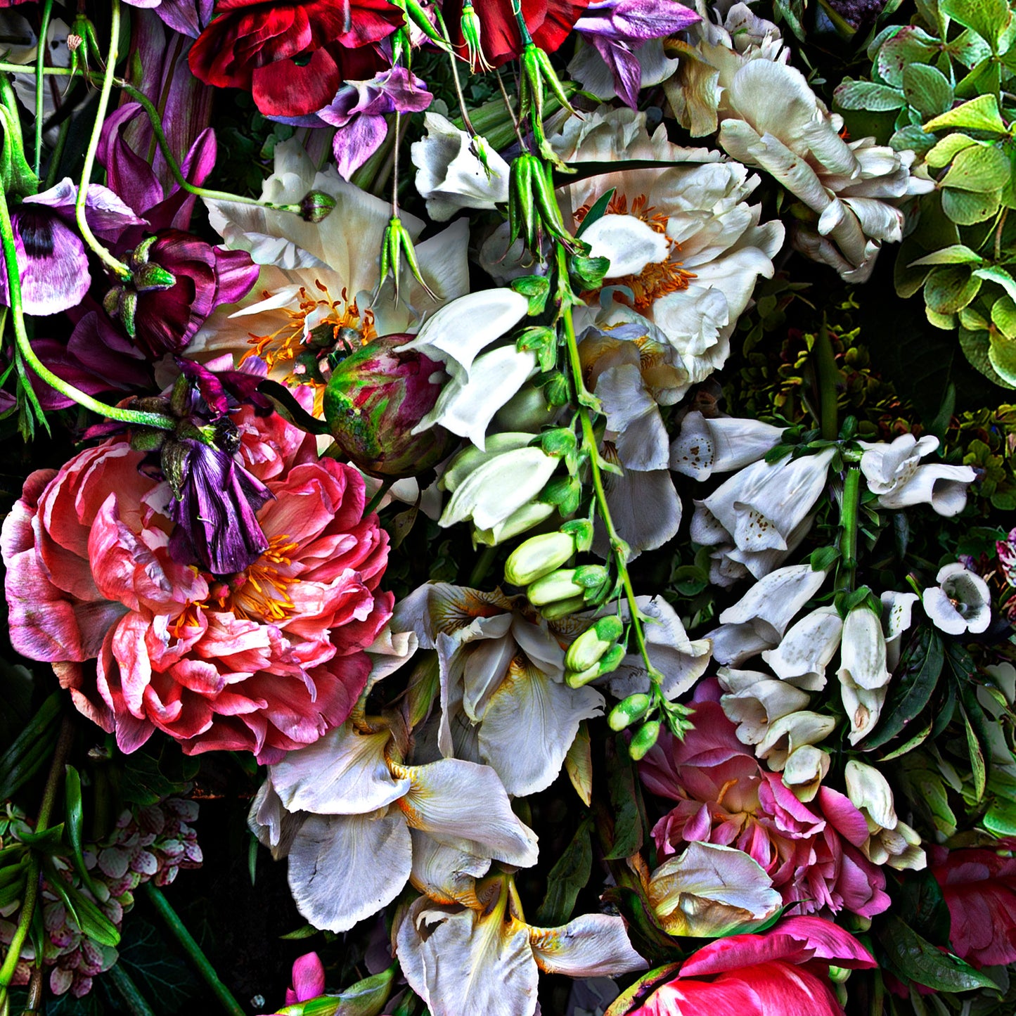 Peonies and Paint