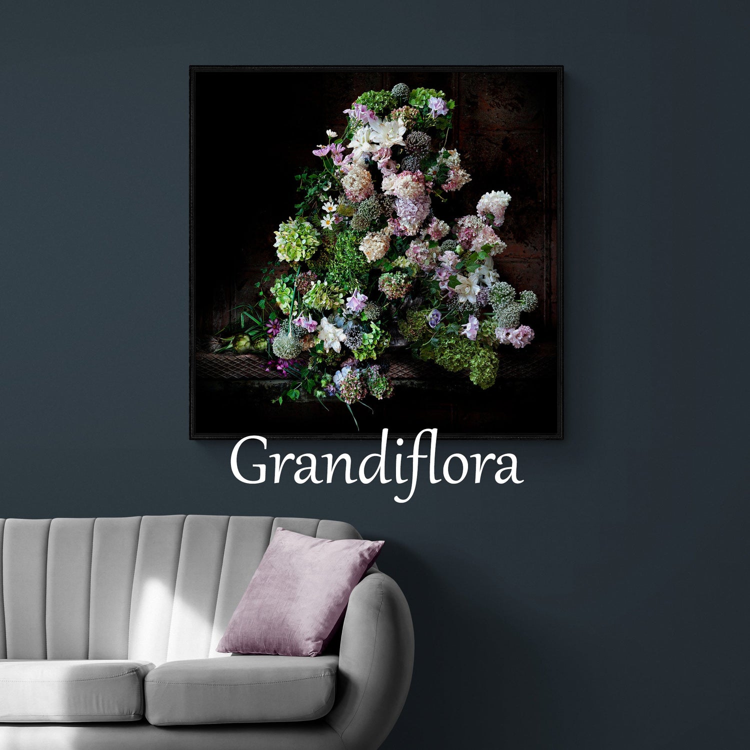 Canvases & Framed Prints