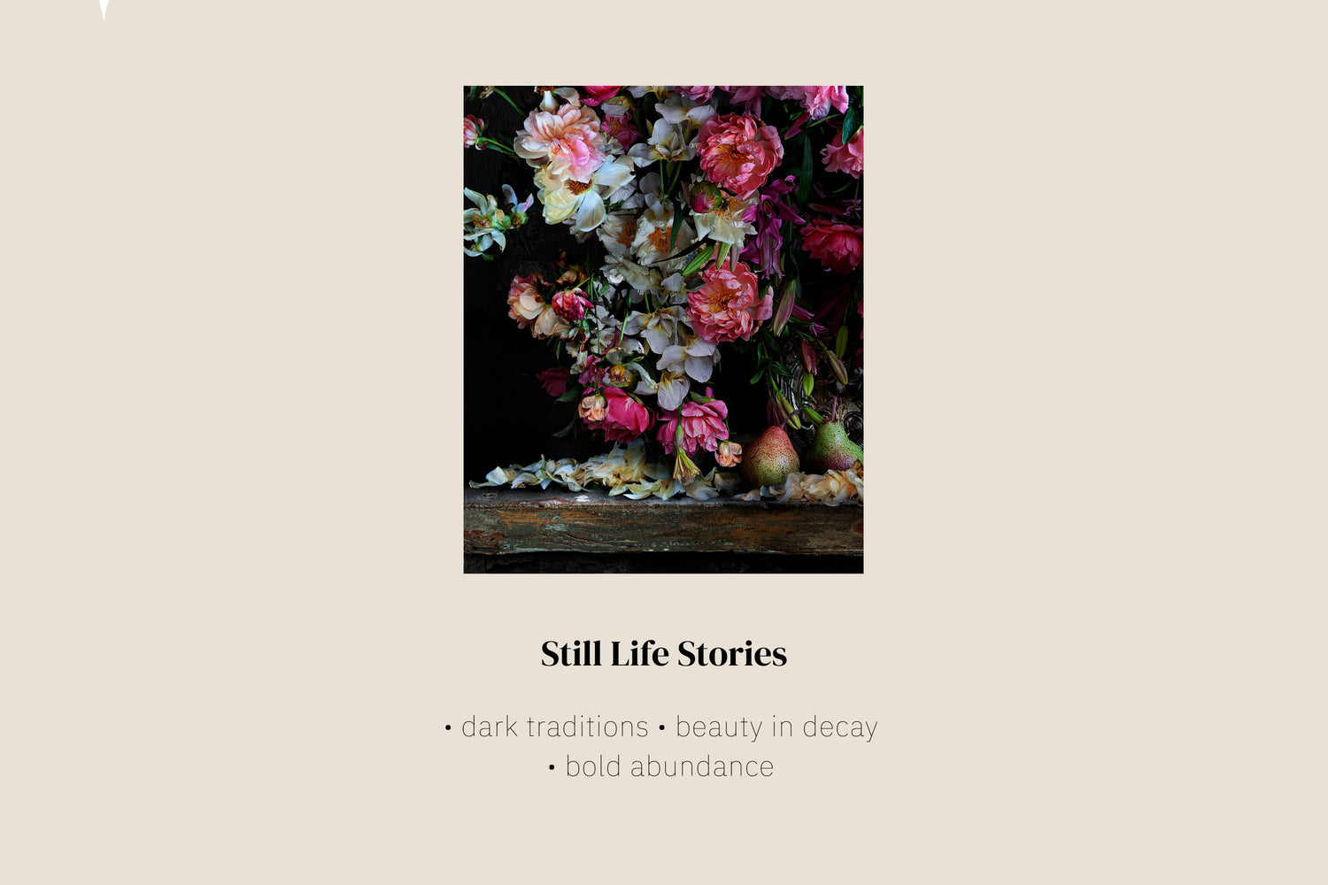Still Life Stories