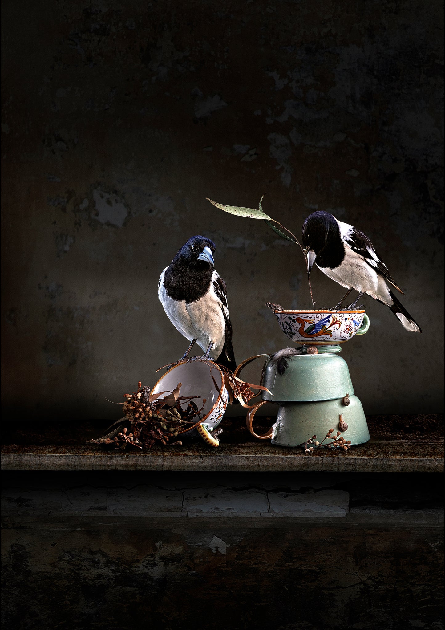 Butcher Birds and a Backyard Brew