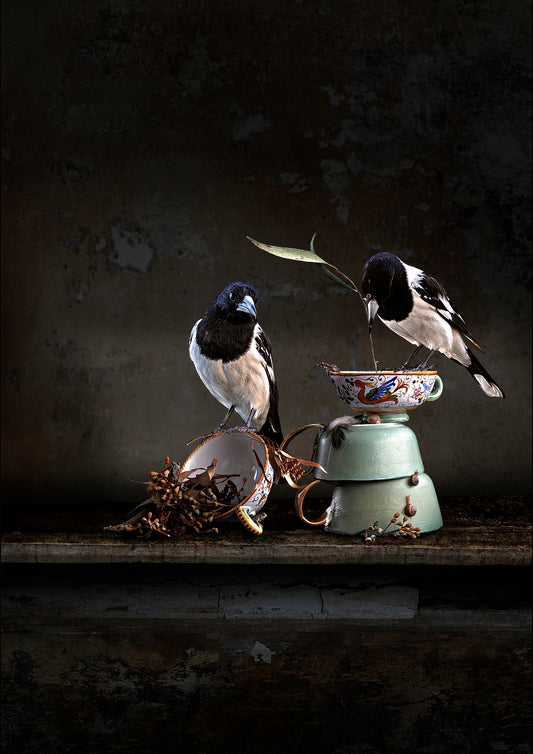Butcher Birds and a Backyard Brew Small Art Print