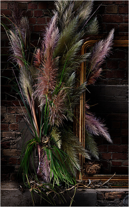 Bird's Nest on Fort Lane Limited Edition