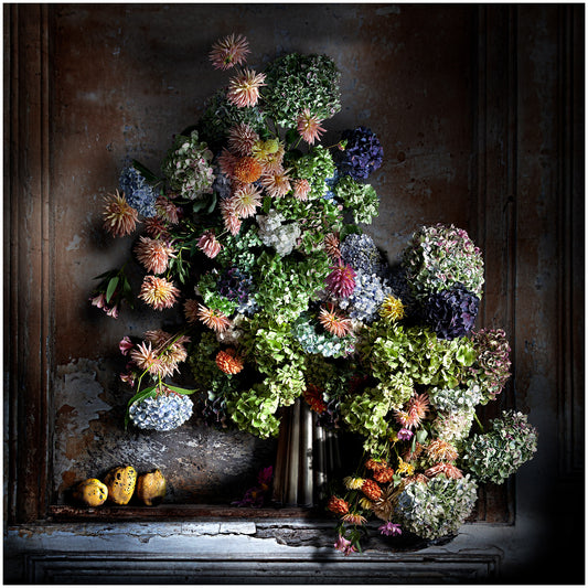 Dahlias and Quinces Fine Art Print