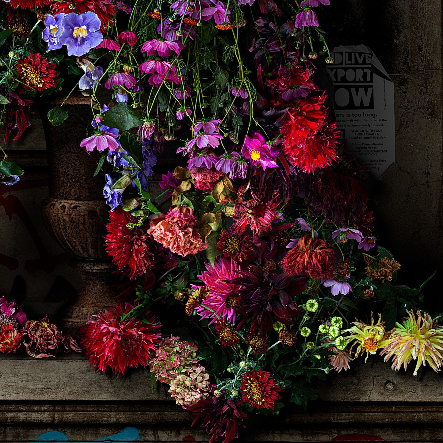 Dahlias and Red Onions Limited Edition Fine Art Print