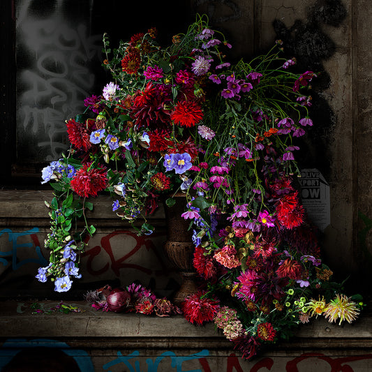 Dahlias and Red Onions Limited Edition Fine Art Print