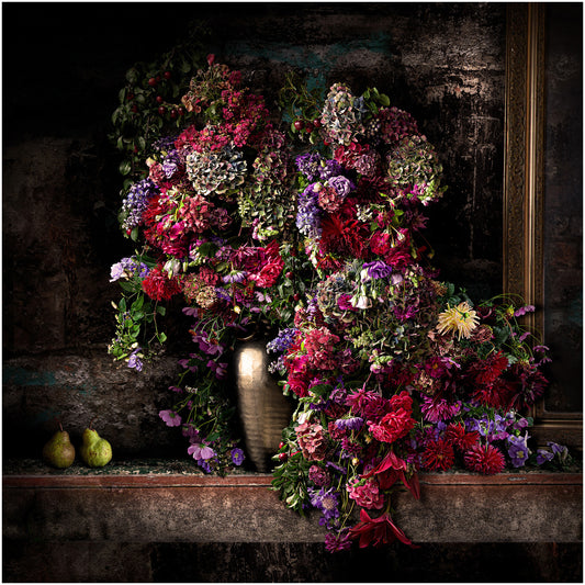 Dahlias on High Street Limited Edition