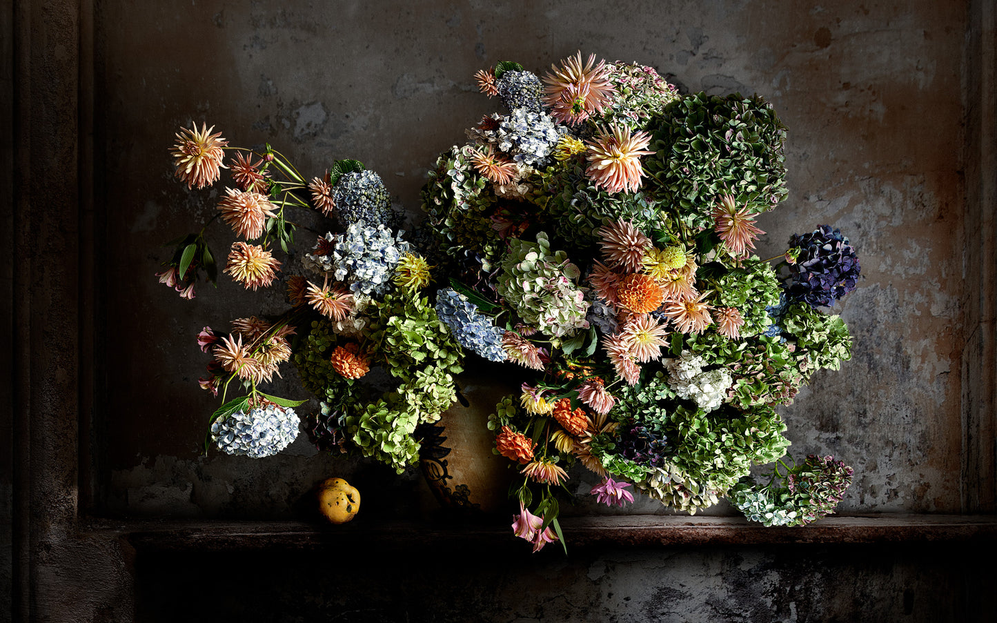 Dahlias Landscape