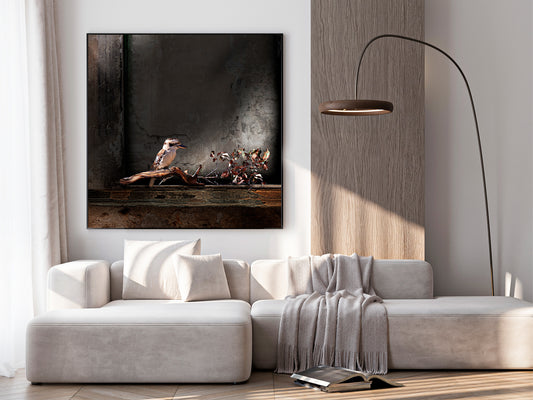 Kookaburra Fine Art Print