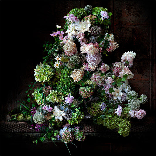 Hydrangeas and Ivy Framed Art Print