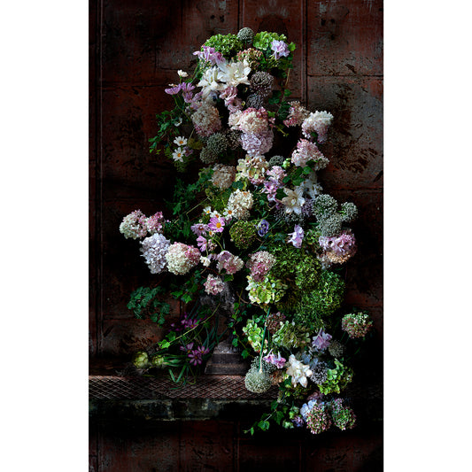 Leeks and Artichokes Limited Edition Fine Art Print