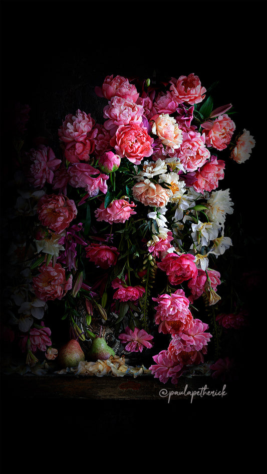 FREE Paula Petherick PEONIES & PEARS screensaver for mobiles