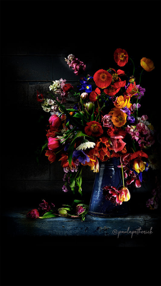 FREE Paula Petherick TULIPS & POPPIES screensaver for mobiles