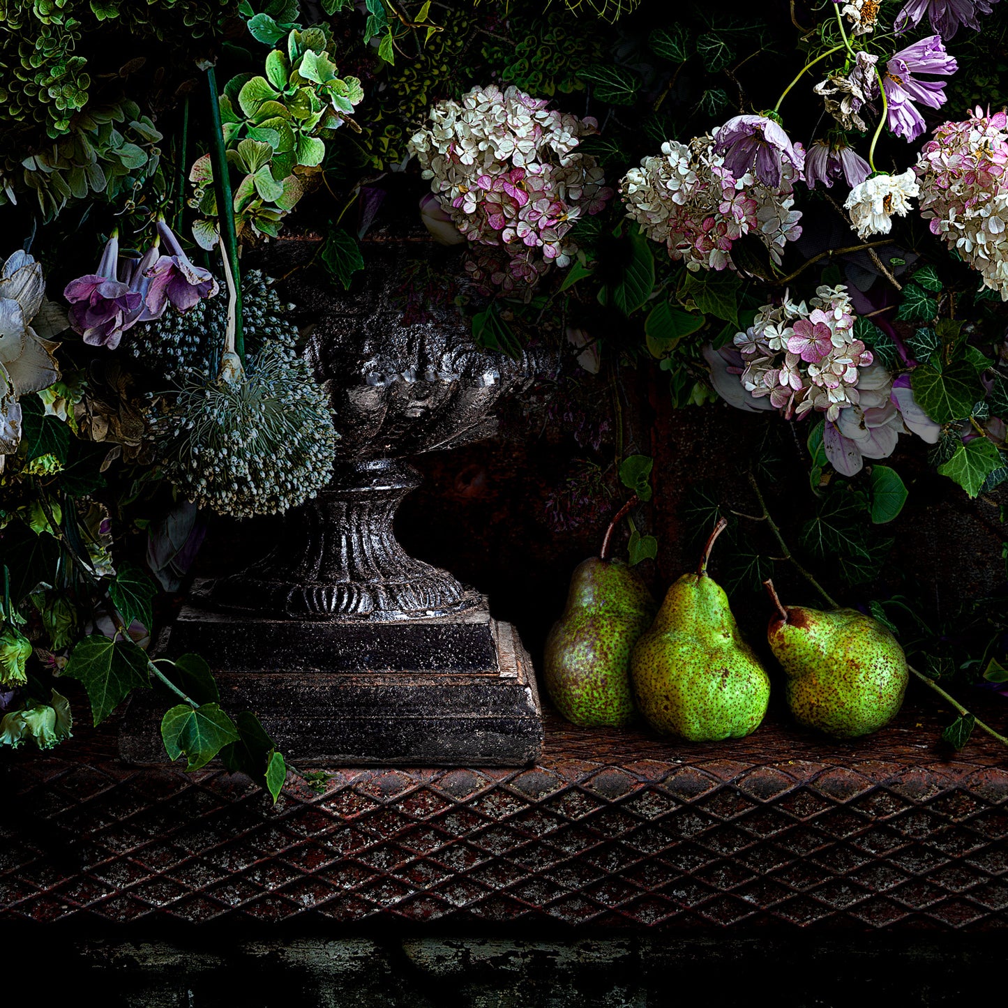 Pears and Magnolias