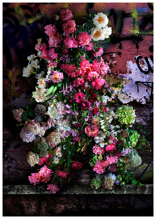 Peonies and Paint Fine Art Print