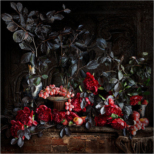 Peony and Beech Framed Art Print