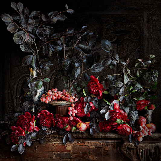 Peony and Beech Fine Art Print