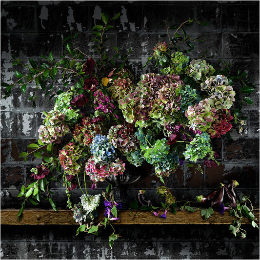 Aubergines and Morning Glory