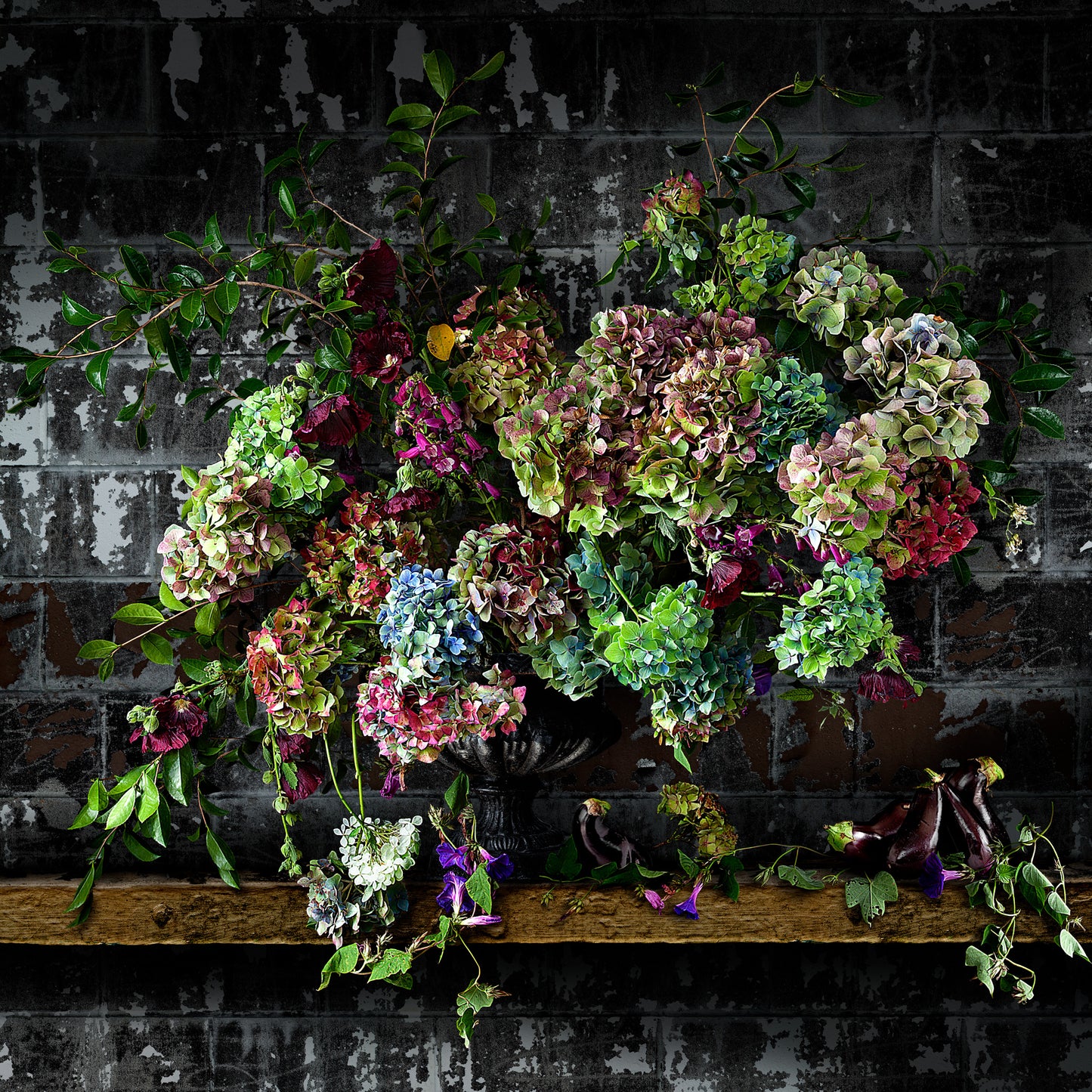 Aubergines and Morning Glory
