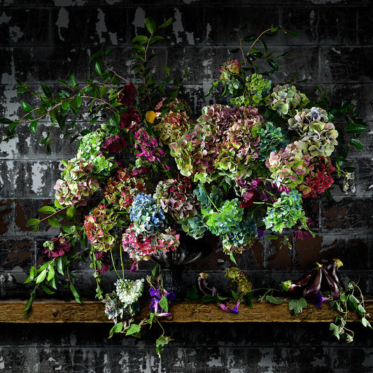 Aubergines and Morning Glory