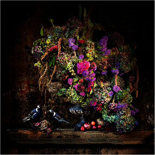 Magpies and Pomegranates Fine Art Print