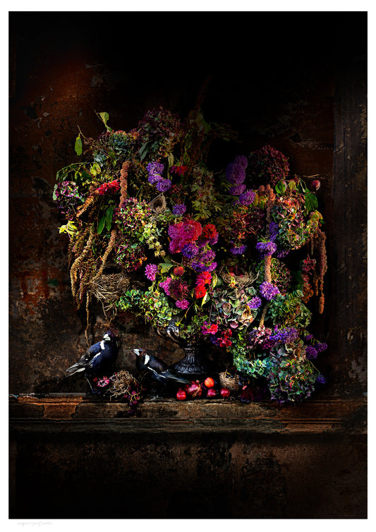 Magpies and Pomegranates Fine Art Print