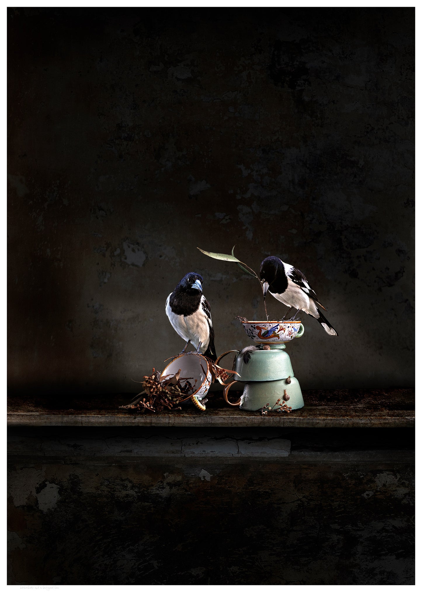 Butcher Birds and a Backyard Brew Fine Art Print