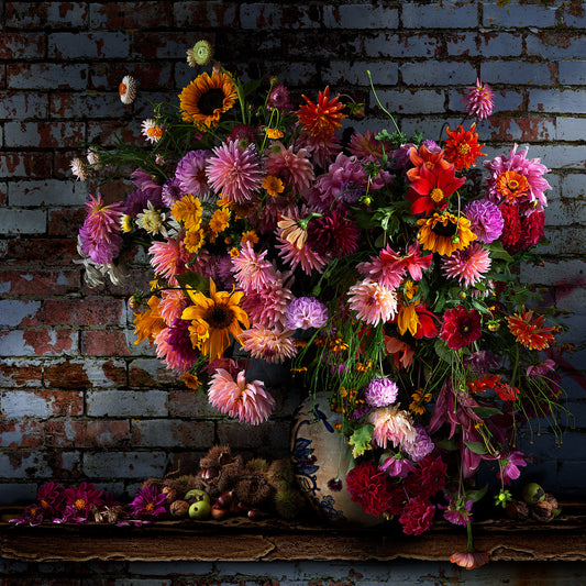 Dahlias and Chestnuts