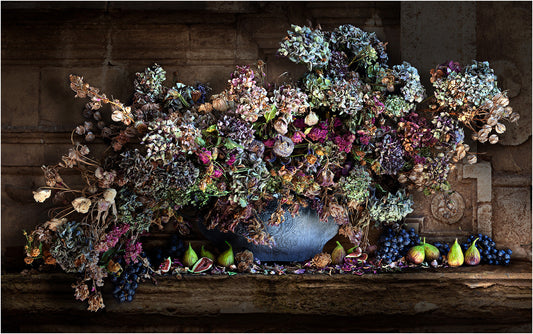 Figs and Dried Hydrangeas Limited Edition