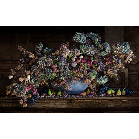Figs and Hydrangeas Exclusive Limited Edition
