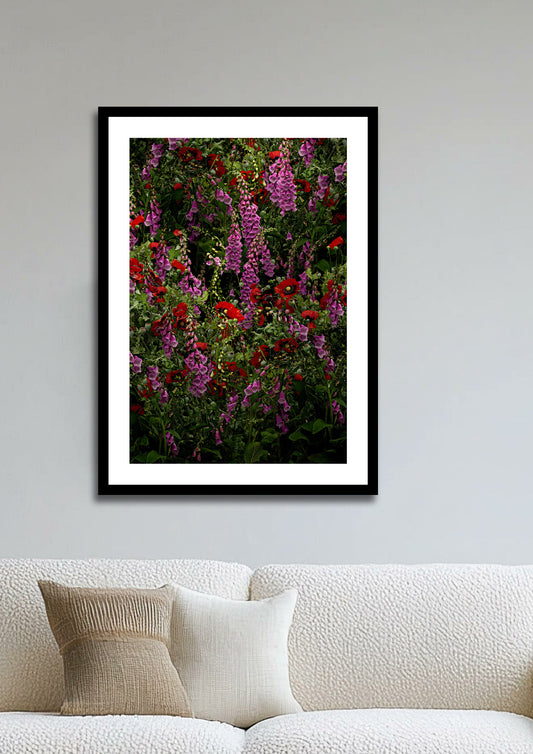 Poppies and Foxgloves