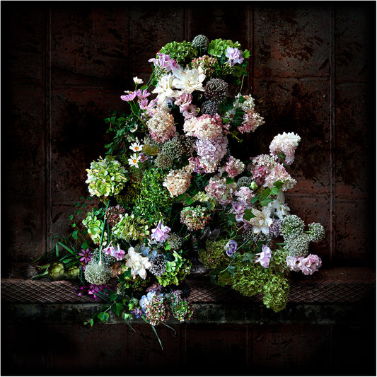 Hydrangeas and Ivy Fine Art Print