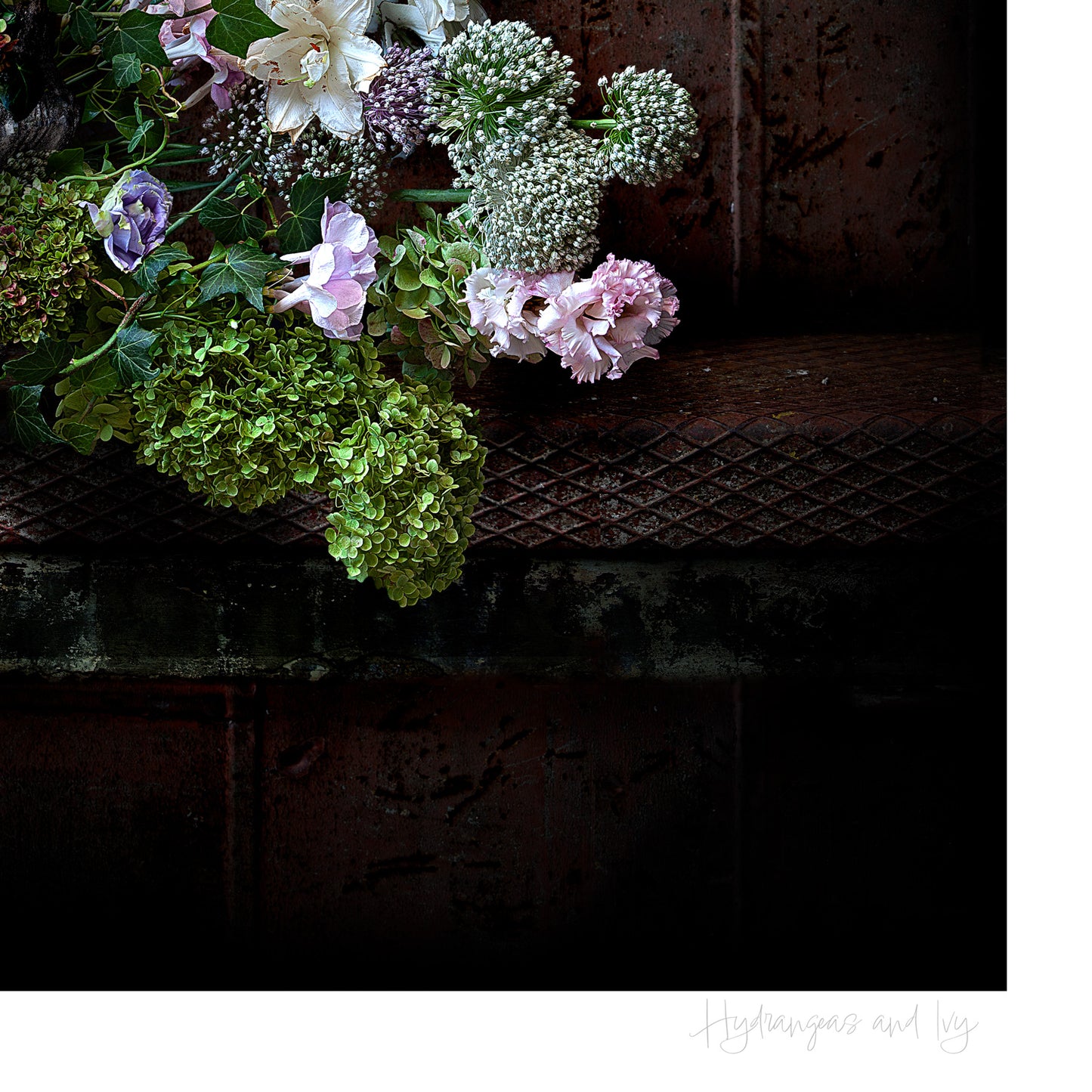 Hydrangeas and Ivy