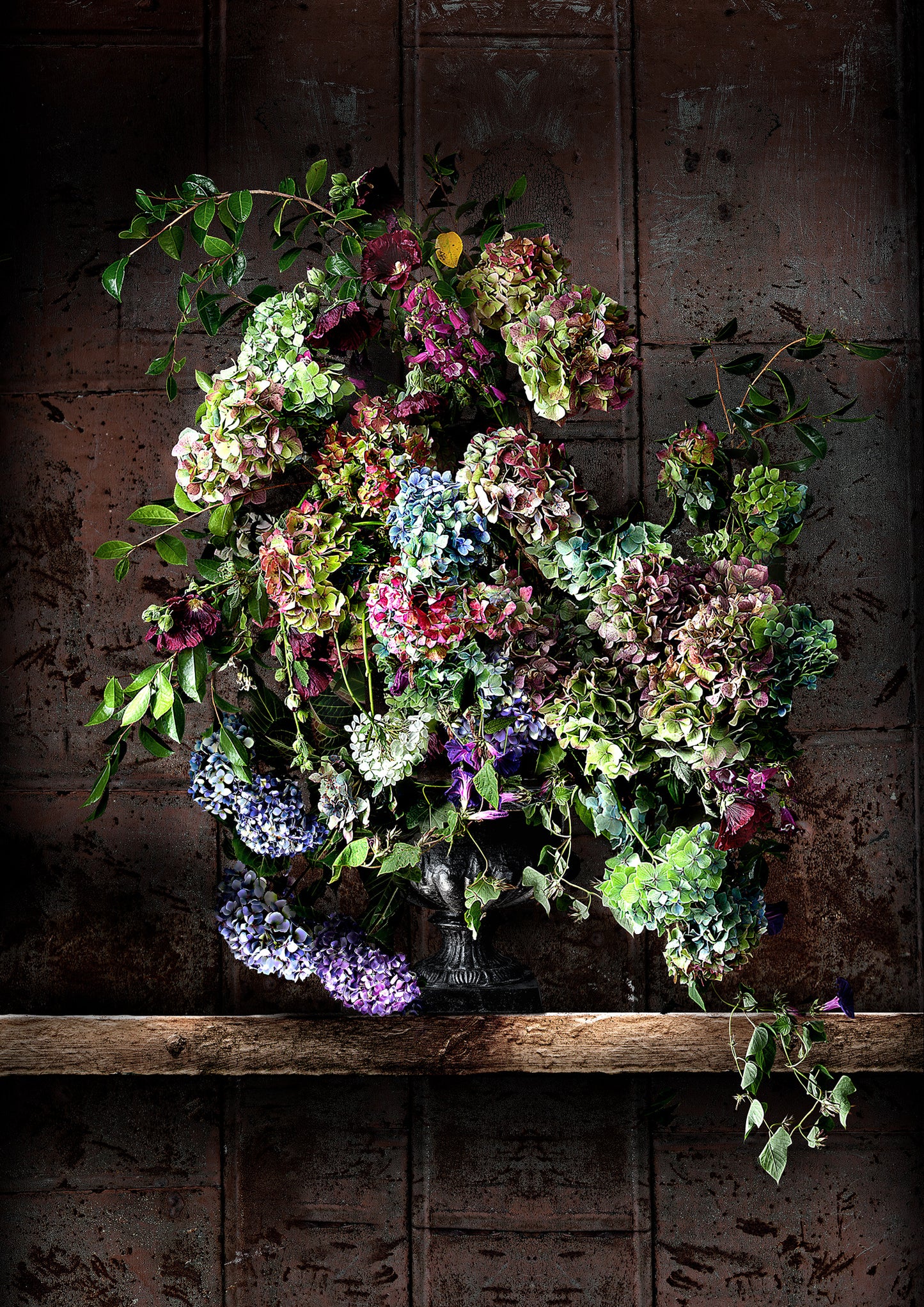 Hydrangeas and Morning Glory