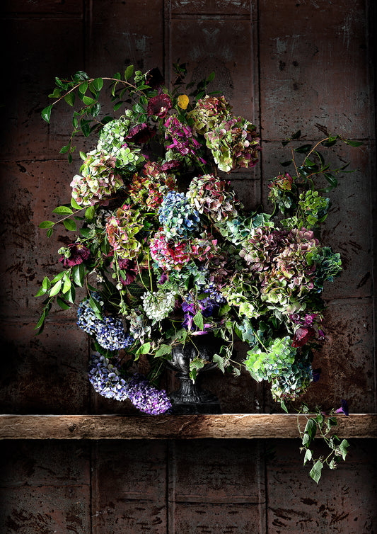 Hydrangeas and Morning Glory