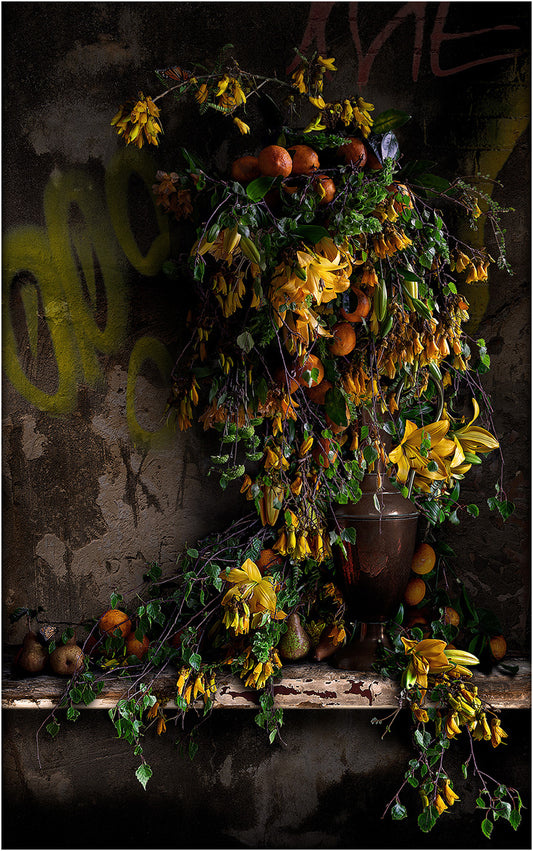 Kowhai and Pears Limited Edition