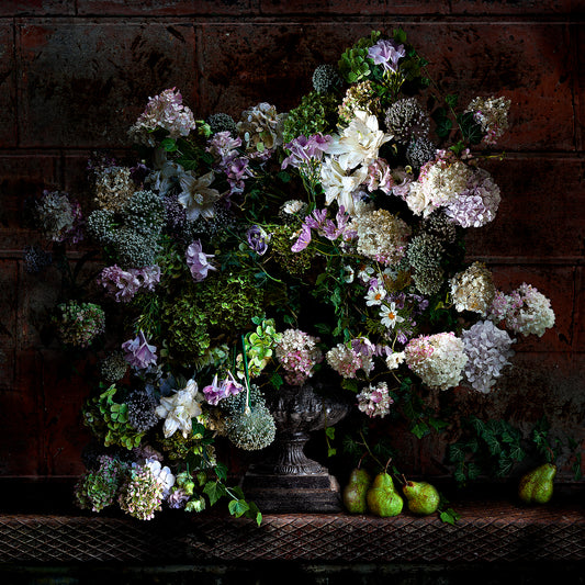 Leeks and Hydrangeas Fine Art Print - AVAILABLE AS A SMALL PRINT or  LARGE LIMITED EDITION