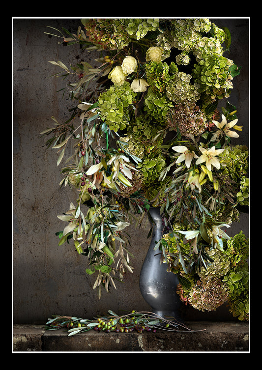 Olives and Hydrangeas Limited Edition Fine Art Print