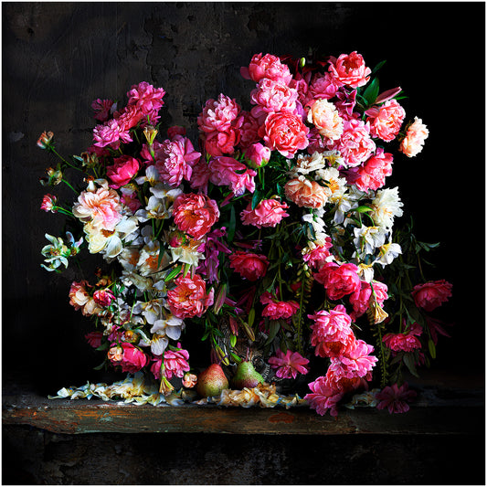 Peonies Framed Art Print