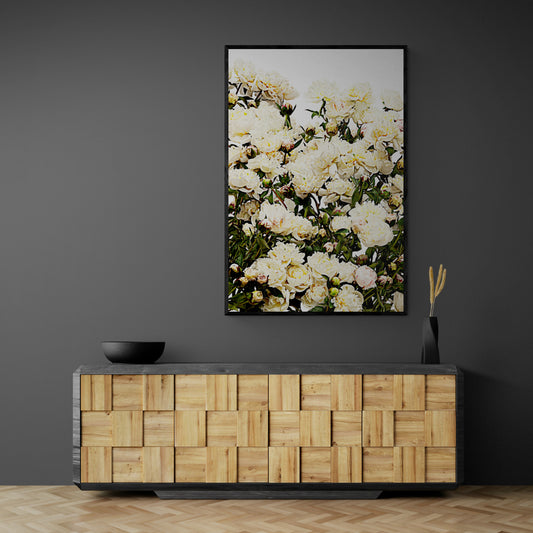 A Field of Peony