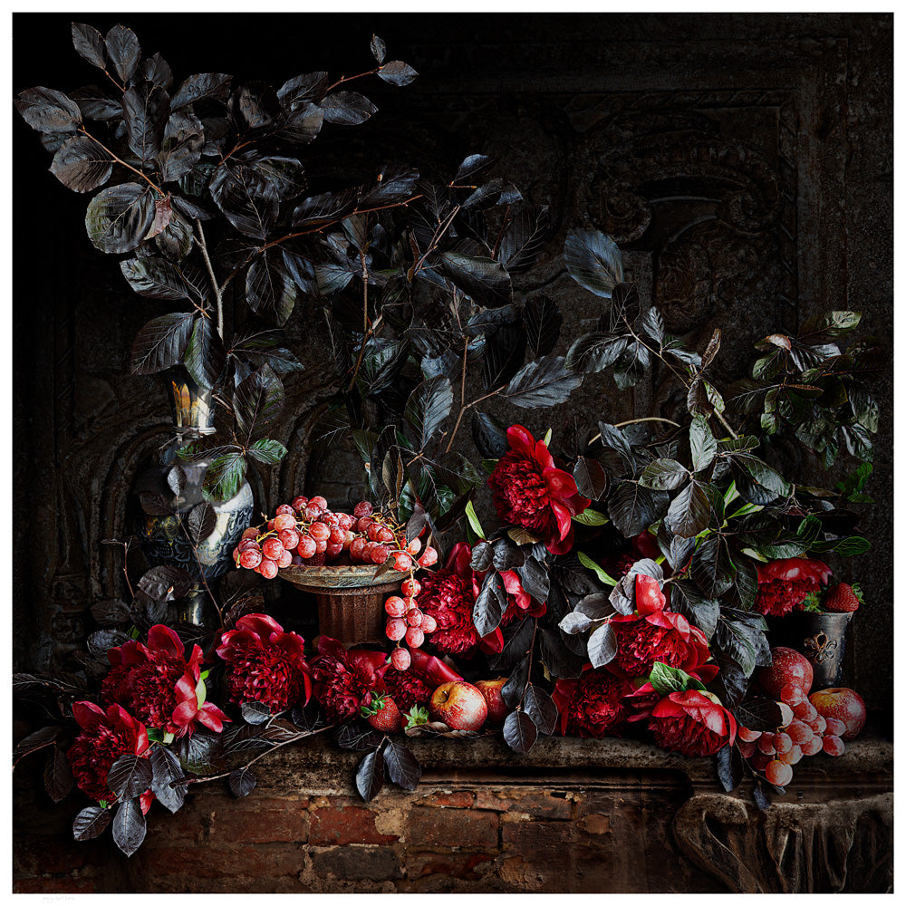 Peony and Beech Fine Art Print