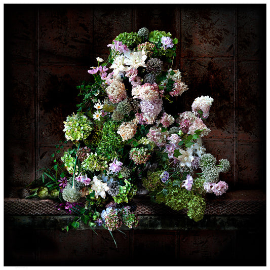 Hydrangeas and Ivy Fine Art Print