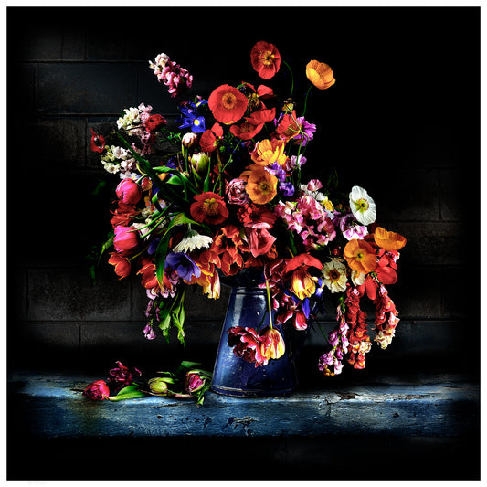 Tulips and Poppies Fine Art Print