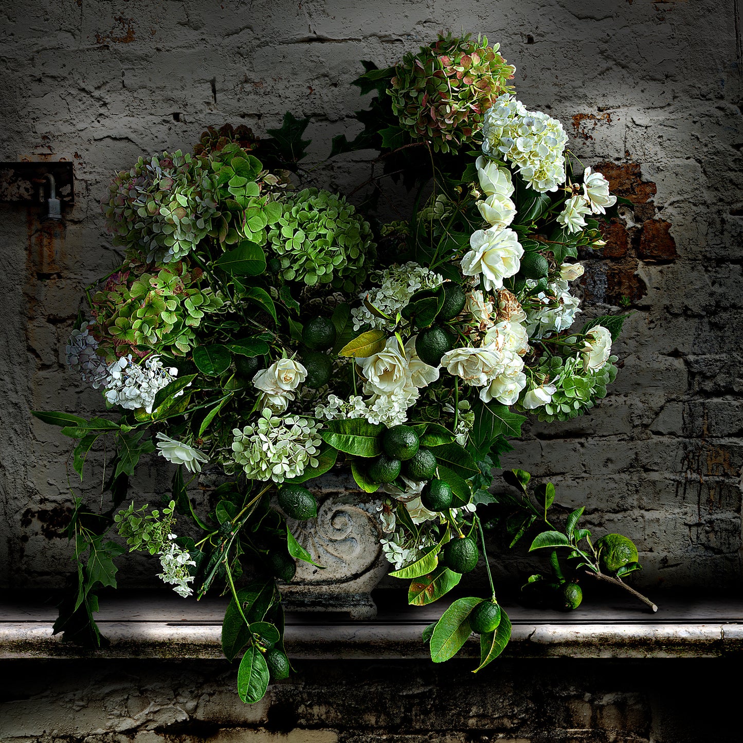 Roses and Limes Fine Art Print - AVAILABLE AS A SMALL PRINT or  LARGE LIMITED EDITION