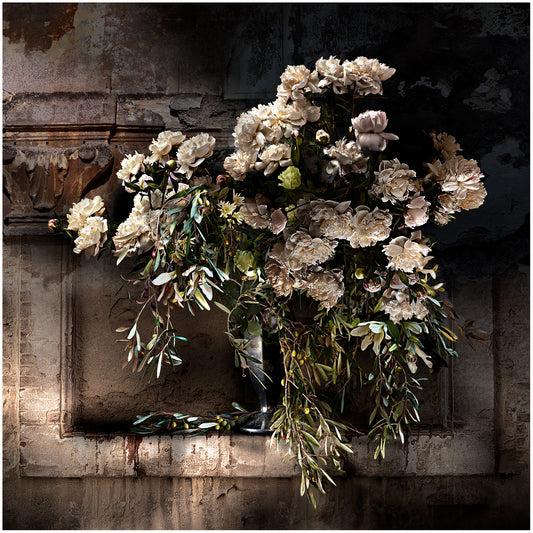 Peonies and Olives Fine Art Print