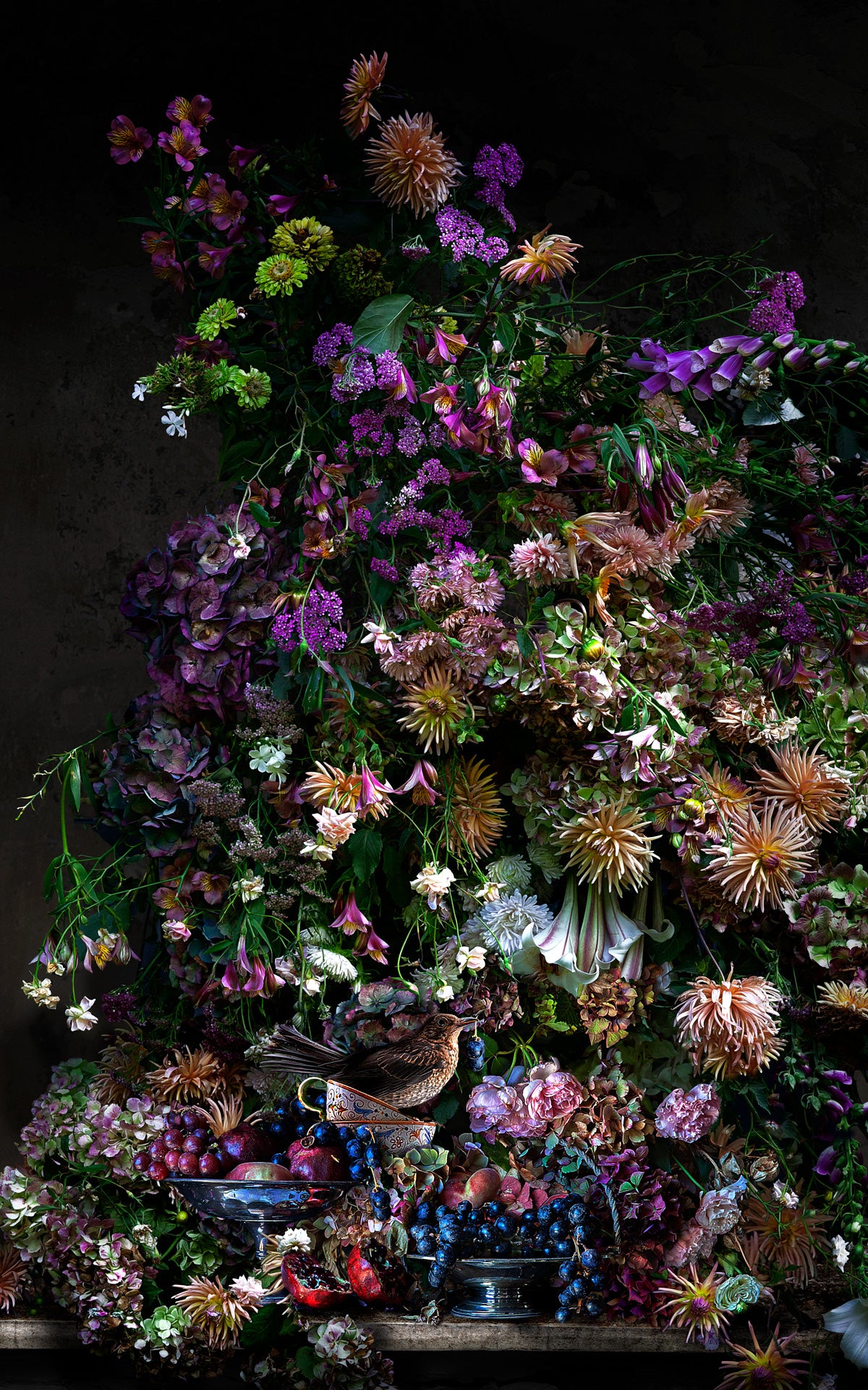 The Thrush Garden
